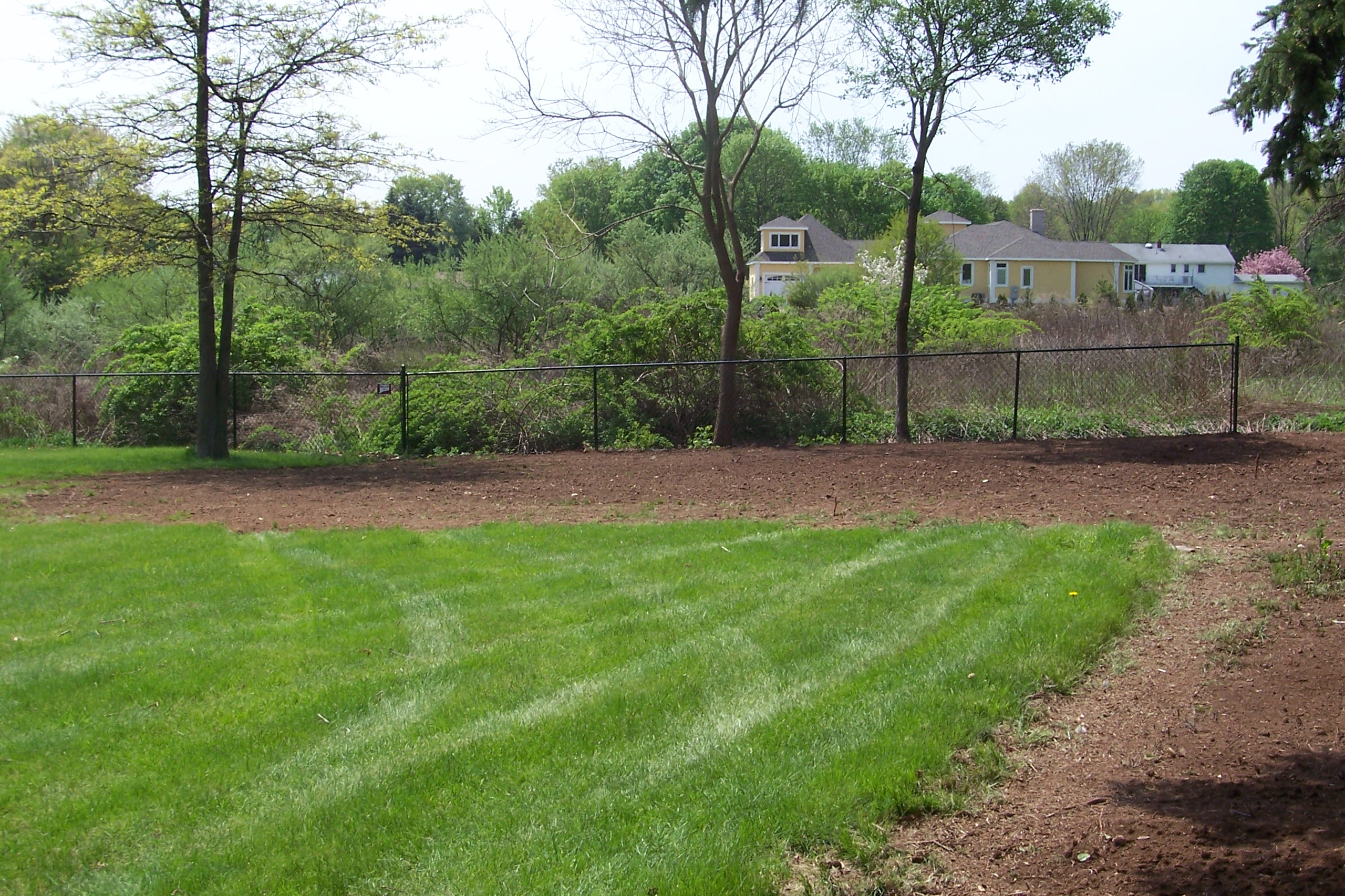 backyard-clean-up-country-landscaping-llc